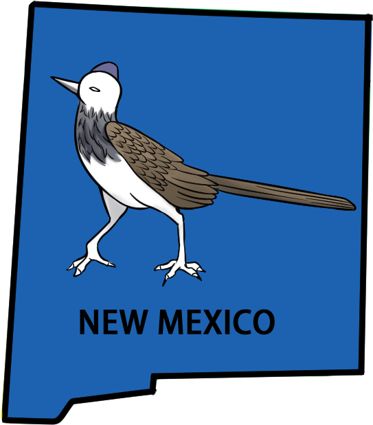 NEW MEXICO