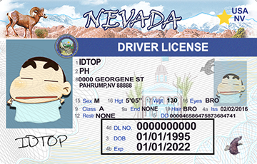 NEVADA-Old