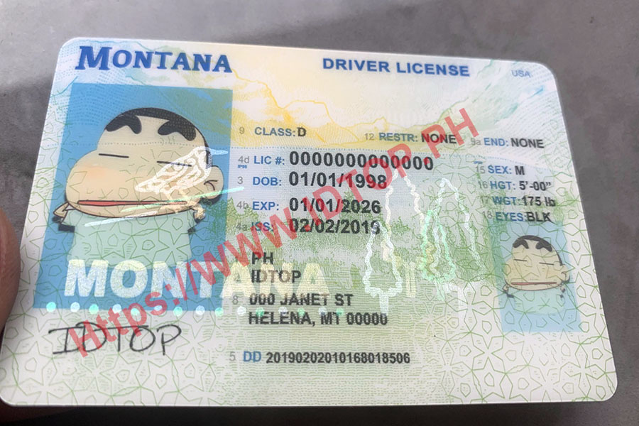 FAKE ID MONTANA