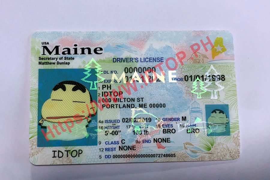 FAKE ID MAINE