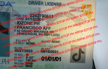NEVADA ids