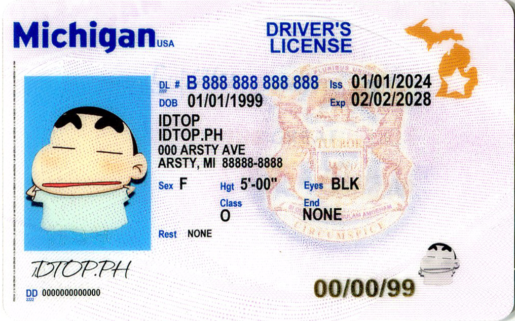 MICHIGAN-New