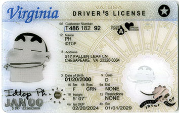 Virginia-New2024