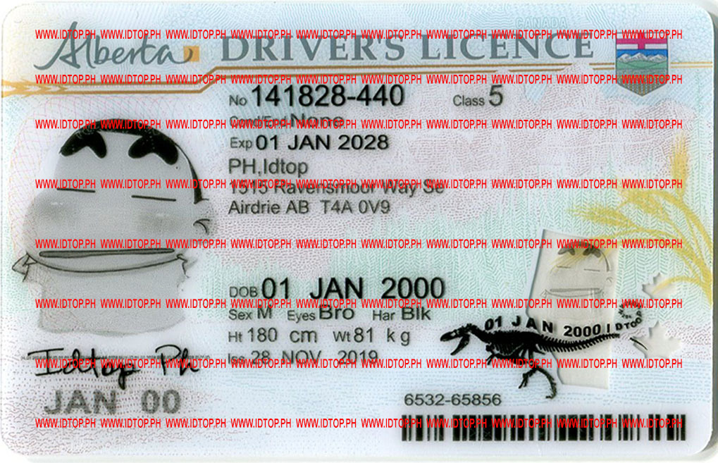 fake id
