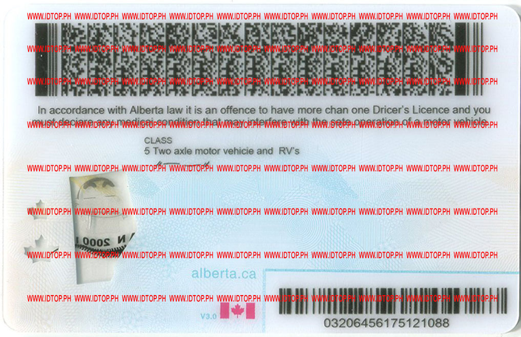 best fake id