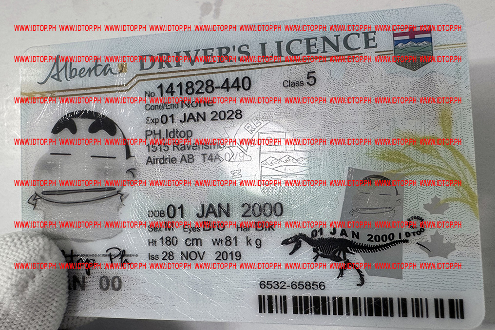 Alberta fake id