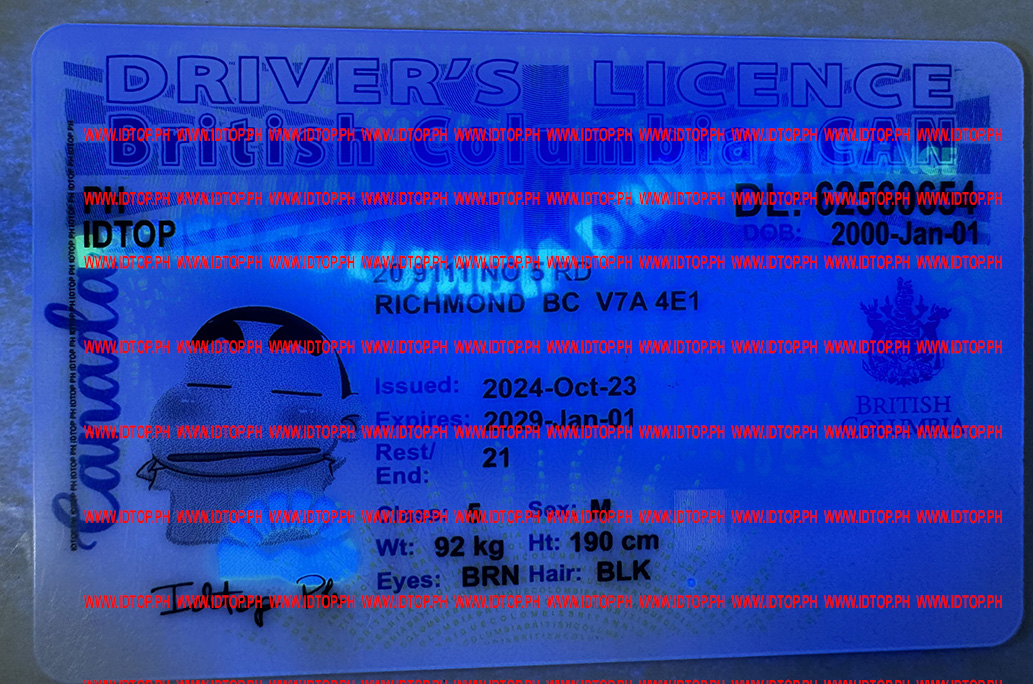 best fake id