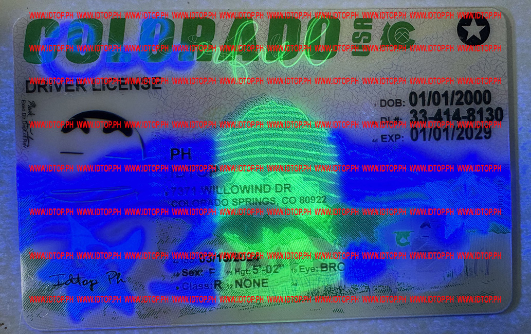 fake ids