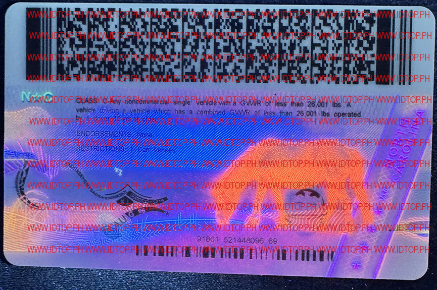 BEST FAKE ID NORTH CAROLINA