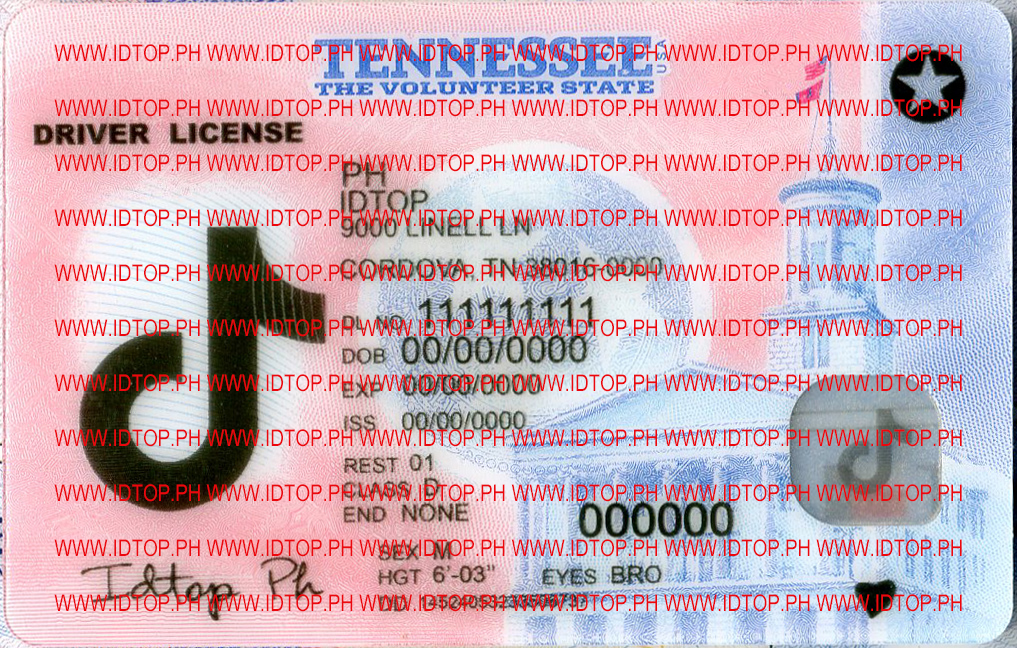 best fake ids TENNESSEE