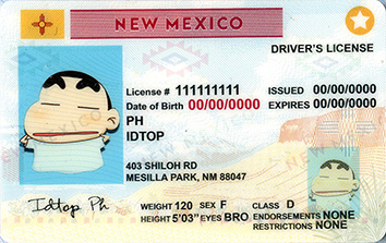 NEW MEXICO-New