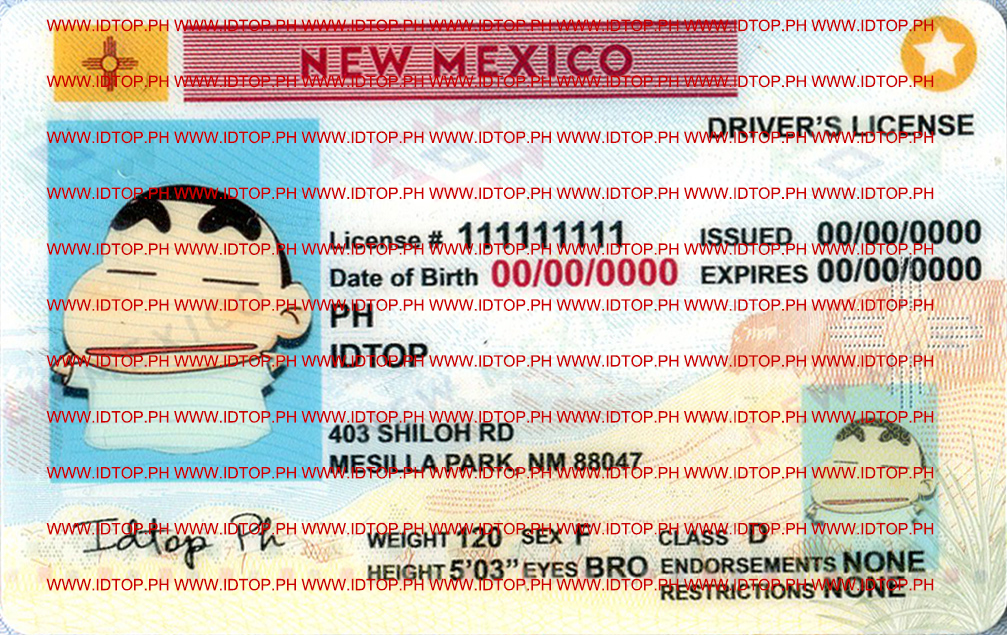 NEW MEXICO-FAKE ID