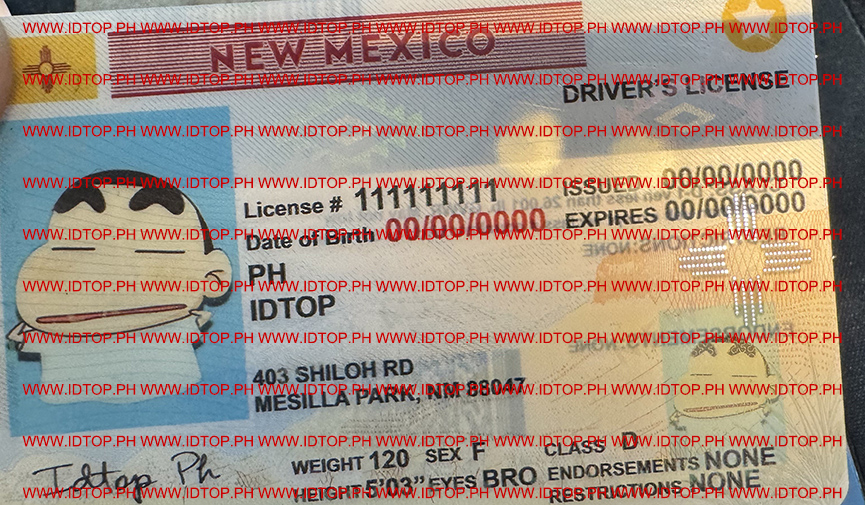 USA ID CARD NM